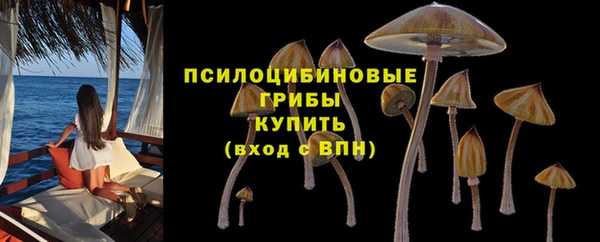 МДПВ Остров