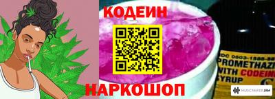 apvp Кингисепп