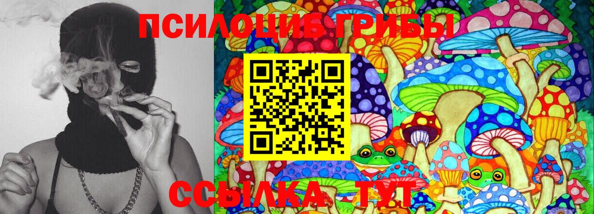 Галлюциногенные грибы Psilocybe  Красноармейск  Галлюциногенные грибы прущие грибы 