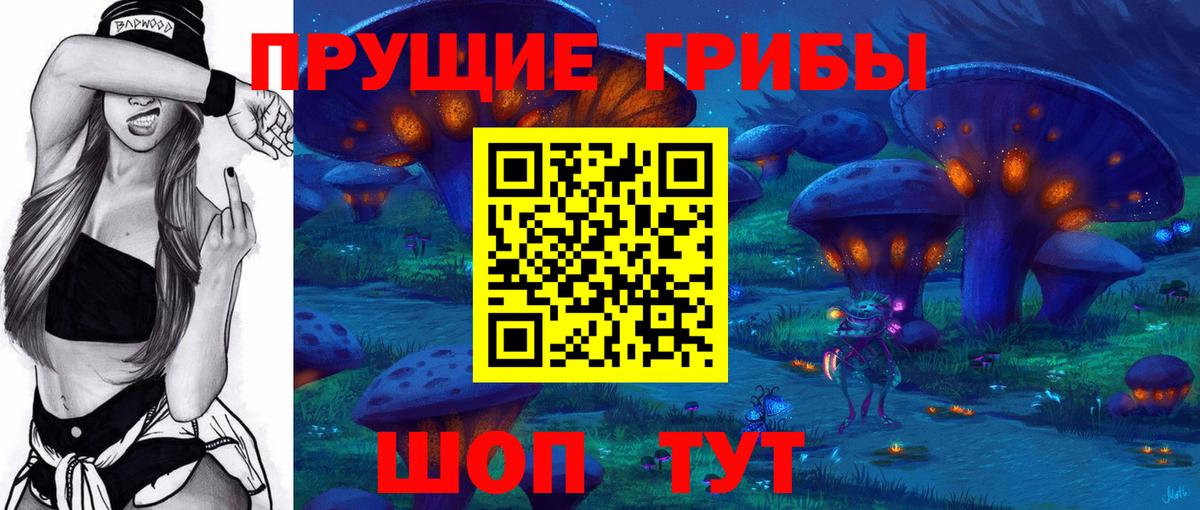 Красноармейск  Псилоцибиновые грибы Cubensis  Вход с VPN 