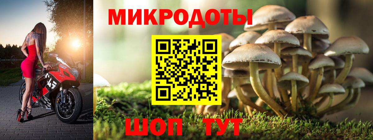 Галлюциногенные грибы ЛСД Красноармейск